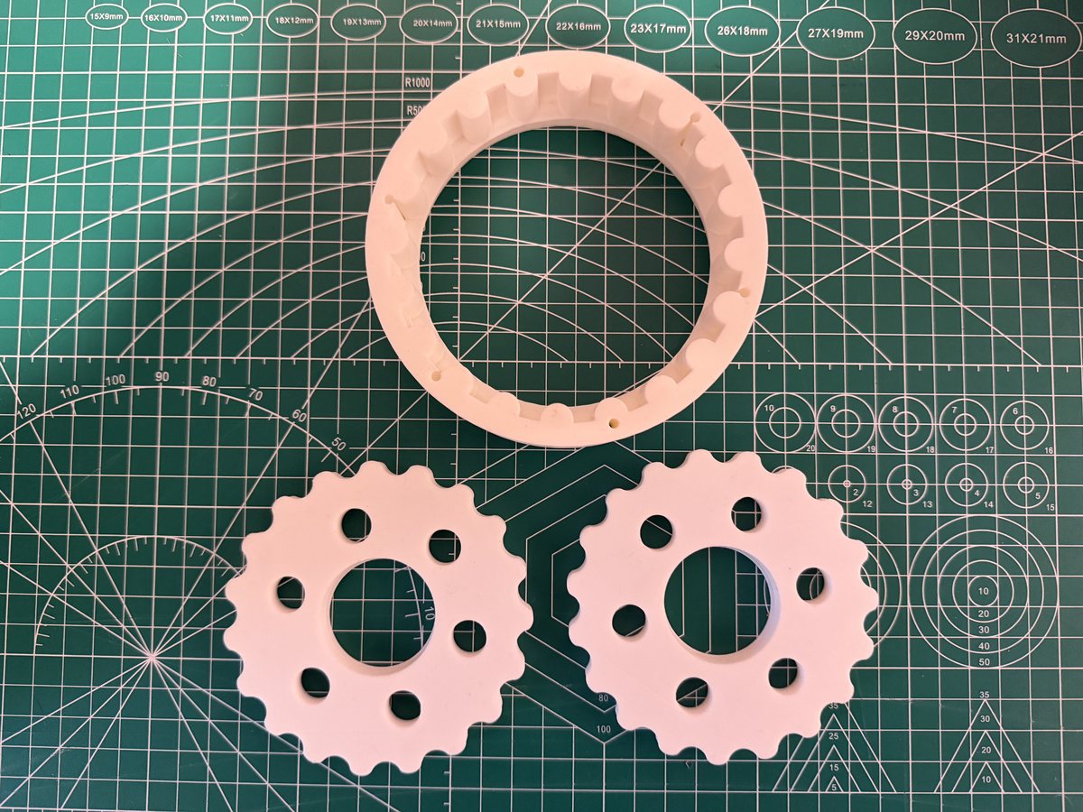 Cycloidal disc and pin ring
